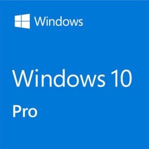 Windows 10 Professionnel
